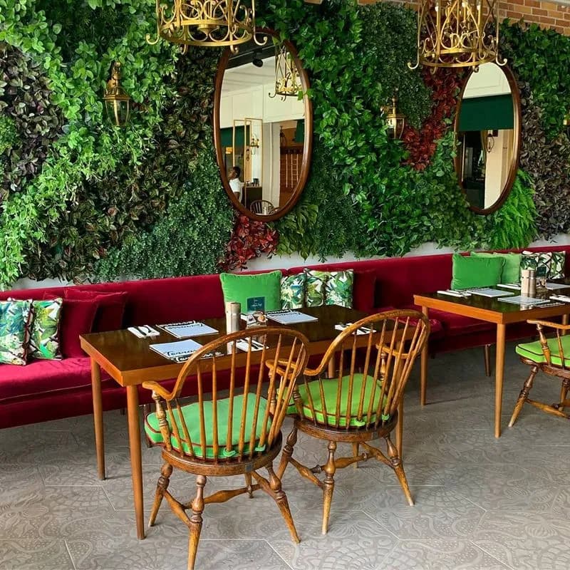 La Terrasse - UAE