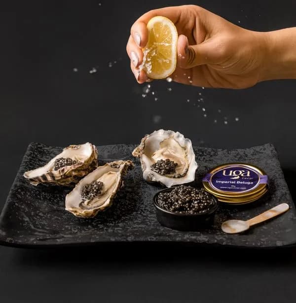 UGA Caviar - Qatar
